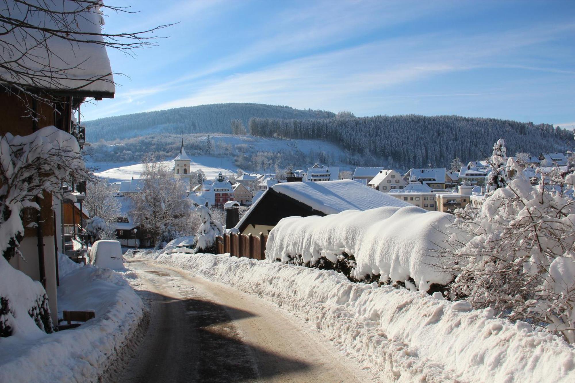 Ferienwohnung Sommerberg, Lenzkirch, 2 Schlafzimmer المظهر الخارجي الصورة