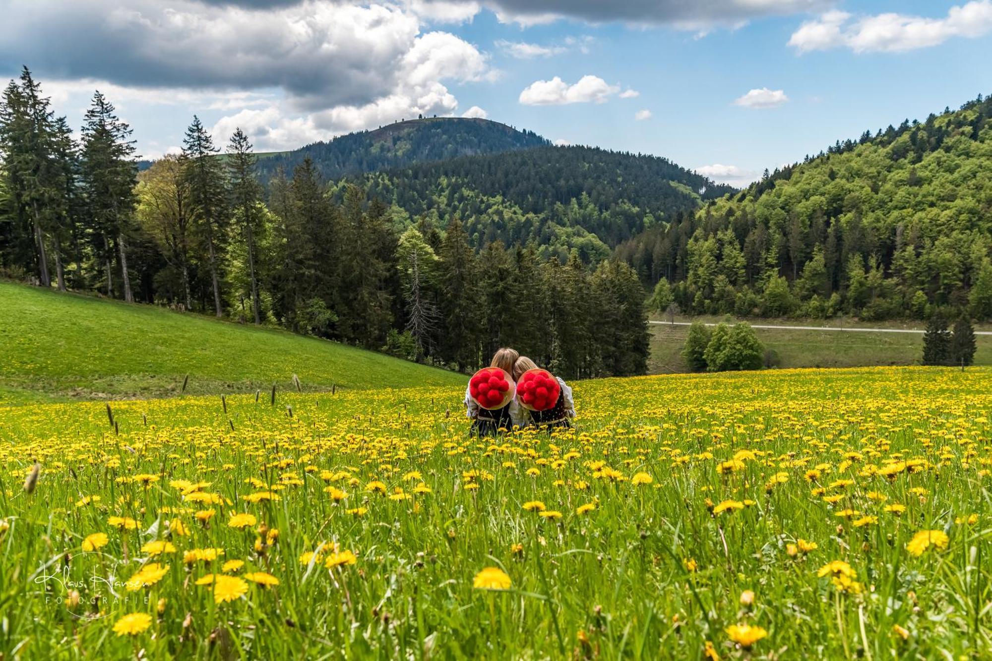 Ferienwohnung Sommerberg, Lenzkirch, 2 Schlafzimmer المظهر الخارجي الصورة